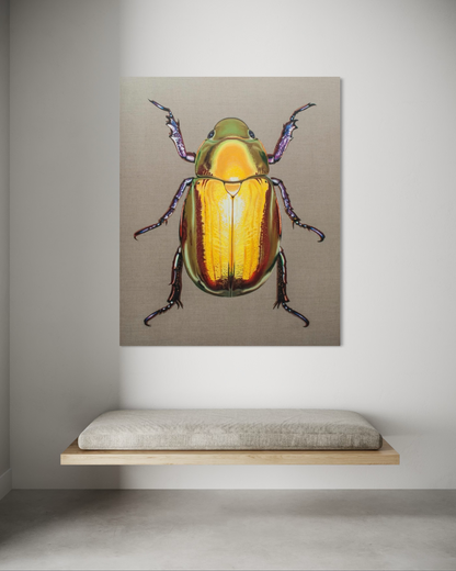 Chrysina resplendens