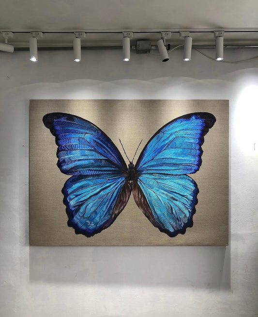 Morpho amathonte