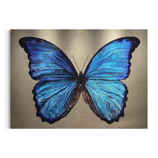 Morpho amathonte