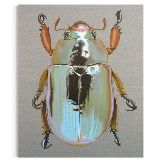 Chrysina chrysargirea